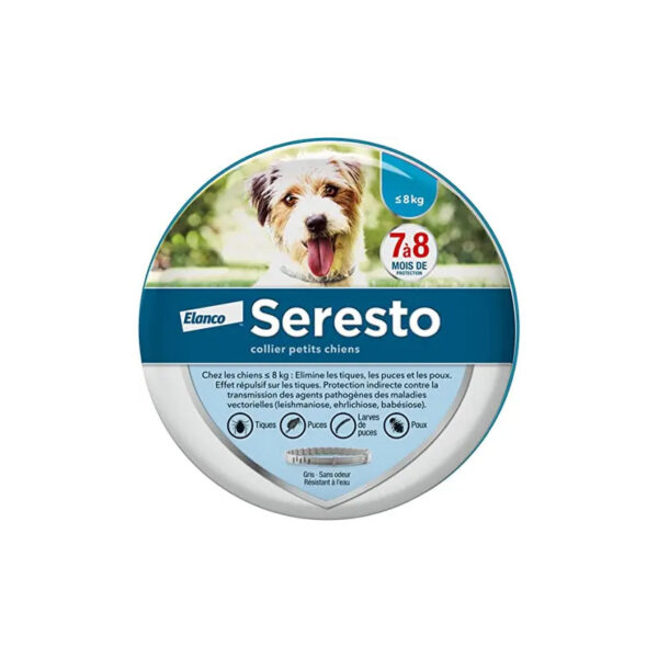Senzanome2