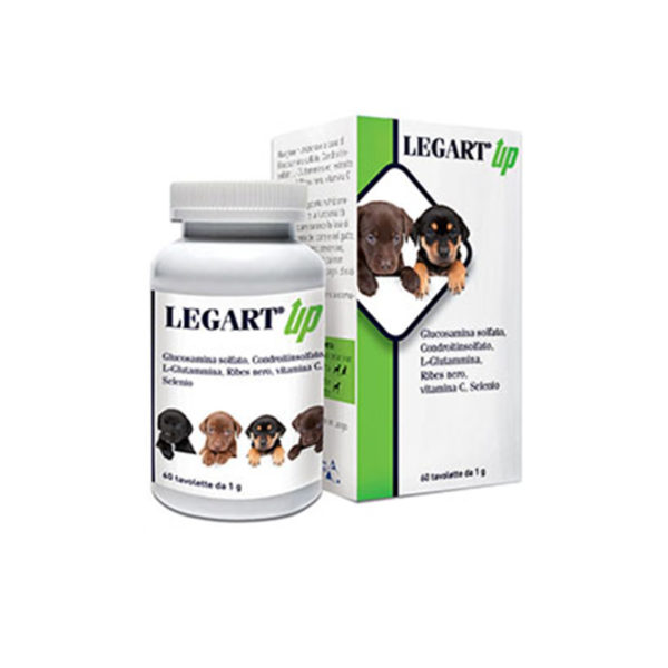 twittizoo-legart-up-60cpr