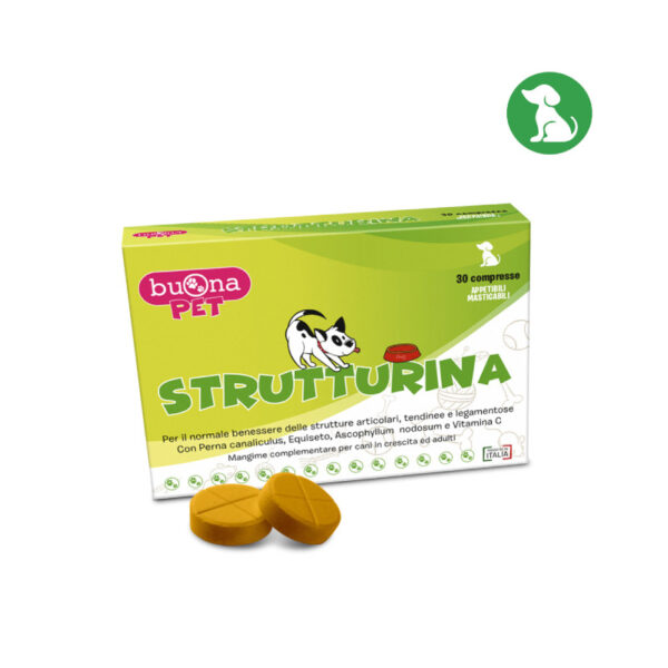 strutturina
